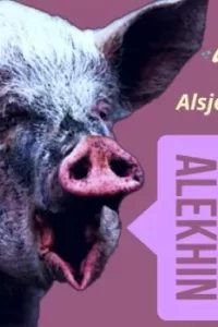 Комментаторы No Comments. Online - Артур Алехин