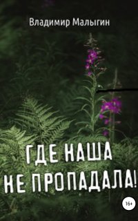 Где наша не пропадала 1. Где наша не пропадала - Владимир Малыгин