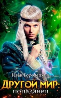 Другой мир 1. Попаданец - Иван Городецкий