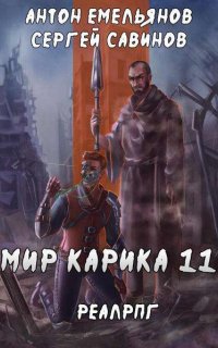 Мир Карика 11. Тайна кота - Сергей Савинов, Антон Емельянов