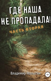 Где наша не пропадала 2. Где наша не пропадала. Часть вторая - Владимир Малыгин