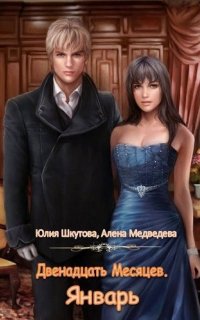 Двенадцать Месяцев. Зима 2. Двенадцать Месяцев. Январь - Алёна Медведева