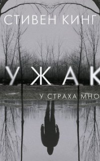 Трилогия Билла Ходжеса 4. Чужак - Стивен Кинг