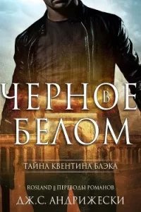 Тайна Квентина Блэка 1. Черное в белом - Дж. С. Андрижески