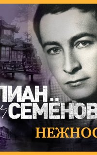 Штирлиц 3. Нежность - Юлиан Семенов