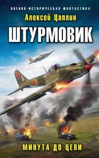 Штурмовик 2. Минута до цели - Алексей Цаплин