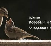 Воробьи на Мэдисон-сквере - О. Генри