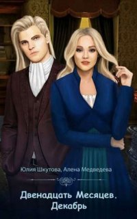 Двенадцать Месяцев. Зима 1. Двенадцать Месяцев. Декабрь - Алёна Медведева