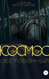 Космос обетованный - Софья Волошина