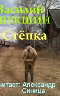 Стёпка - Василий Шукшин