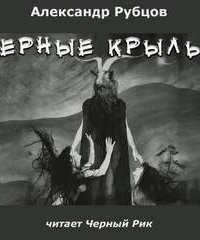 Черные крылья - Александр Рубцов