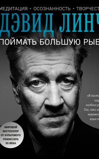 Поймать большую рыбу. Медитация, осознанность, творчество - Дэвид Линч