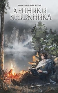 Хроники Книжника 2. Странник - Илья Соломенный