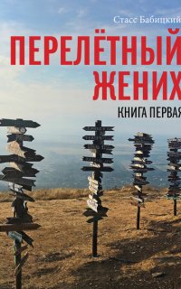 Перелётный жених. Книга первая - Стасс Бабицкий